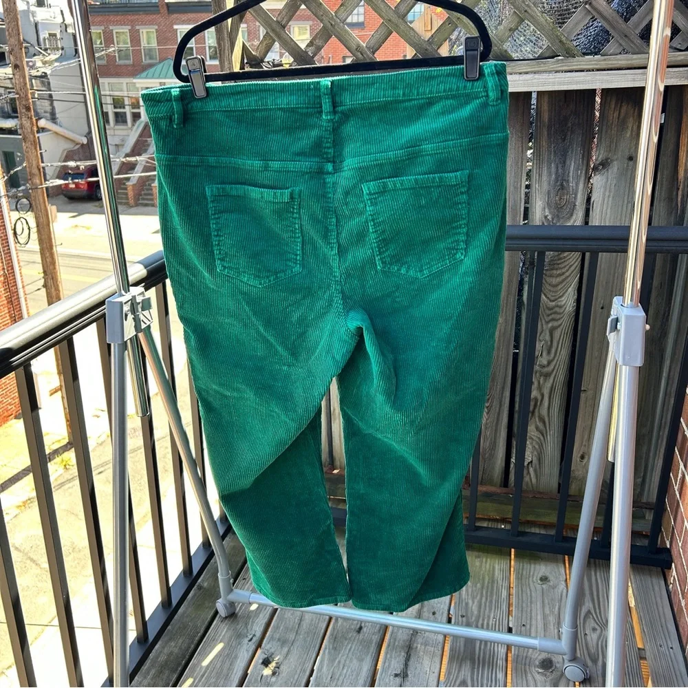 Style & Co Green Corduroy Plus Short Pants 20W - Picture 2 of 6